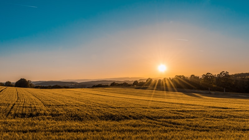 Alentejo Litoral